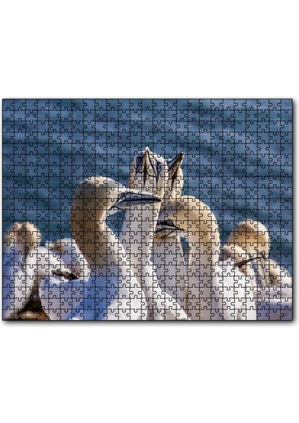 Deniz ve Sümsük Kuşları 120 Parça Puzzle Yapboz Mdf (Ahşap)