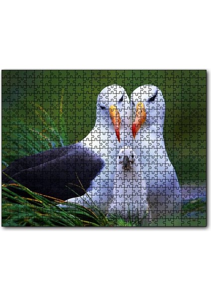 Albatross Kuşu Ailesi 255 Parça Puzzle Yapboz Mdf (Ahşap)