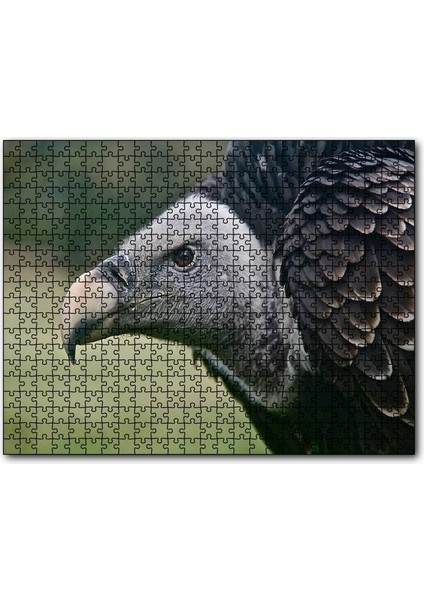 Gri Başlı Siyah Akbaba Yakın Çekim 120 Parça Puzzle Yapboz Mdf (Ahşap)
