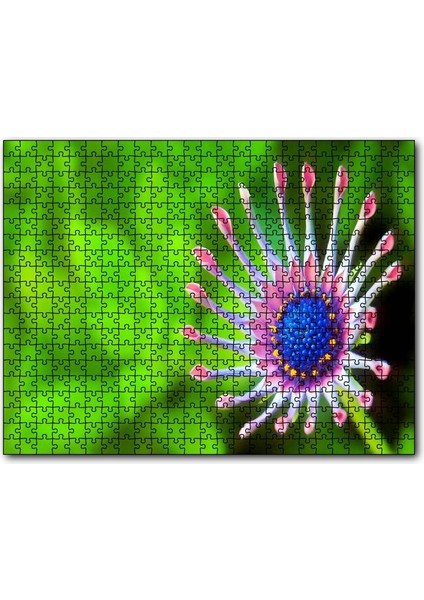 Güney Afrika Papatyası Görseli 120 Parça Puzzle Yapboz Mdf (Ahşap)