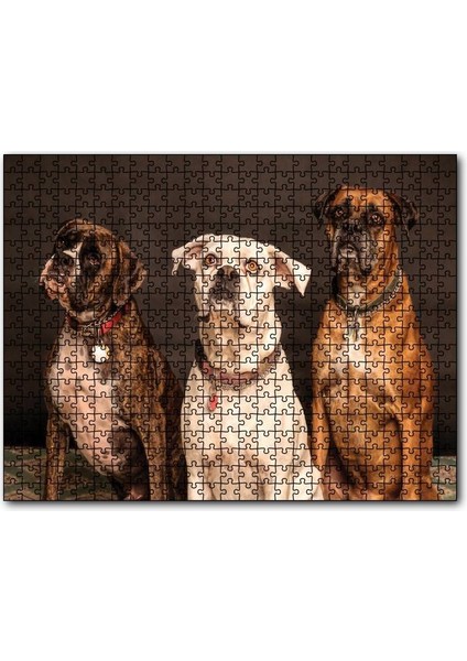 Caka Tablo Cakapuzzle 3 Sevimli Boxer 1000 Parça Puzzle Yapboz Mdf(Ahşap)