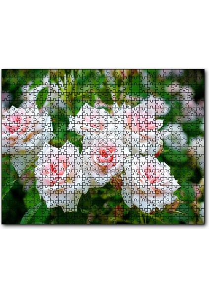 Cakapuzzle Beyaz Çalı Gülleri Görseli 120 Parça Puzzle Yapboz Mdf (Ahşap)