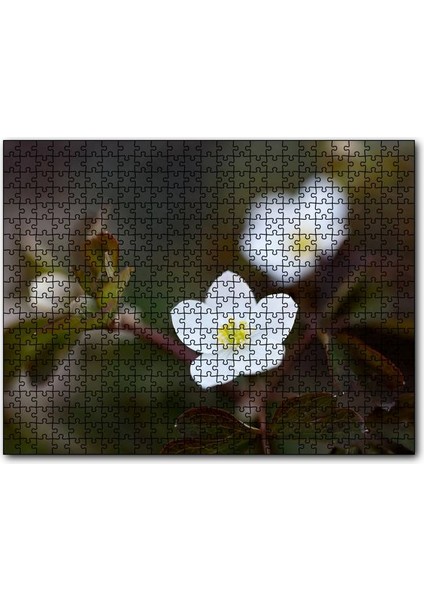 Cakapuzzle Beyaz Kırmızı Şarap Üzüm Şarap Küpü Görseli 255 Parça Puzzle Yapboz Mdf (Ahşap)