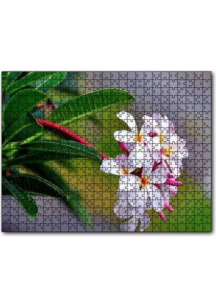 Cakapuzzle Beyaz Sarı Plumeria Çiçeği Görseli 255 Parça Puzzle Yapboz Mdf (Ahşap)