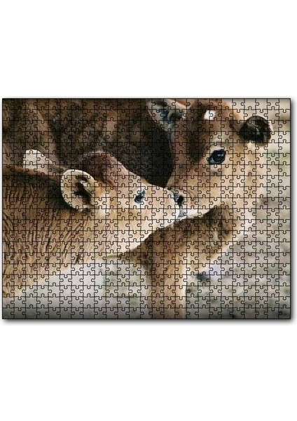 Cakapuzzle Koklaşan Kahverengi Buzağılar Görseli 120 Parça Puzzle Yapboz Mdf (Ahşap)