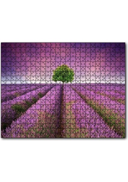 Cakapuzzle Lavanta Tarlası ve Yeşil Yalnız Ağaç 255 Parça Puzzle Yapboz Mdf (Ahşap)