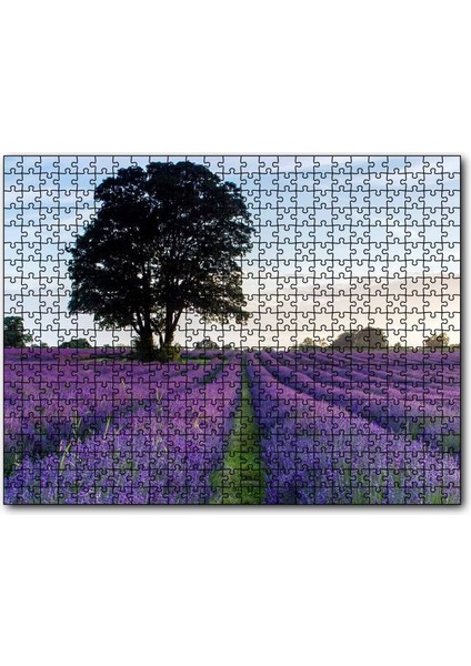 Cakapuzzle Lavanta Tarlaları ve Yalnız Ağaç 255 Parça Puzzle Yapboz Mdf (Ahşap)
