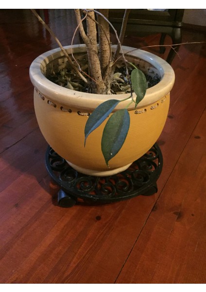 Metal Tekerlekli Saksı Altlığı Çiçek Standı fiyatları