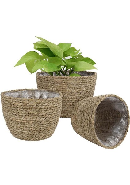 Rustik El Işi Dokuma Rattan Doğal Seagrass Sepet 18X15X13 cm Küçük (Yurt Dışından) fırsatları