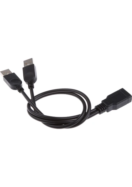 Usb-A Kadın Çift USB Erkek Y-Splitter Şarj Kablosu 30 cm (Yurt Dışından)