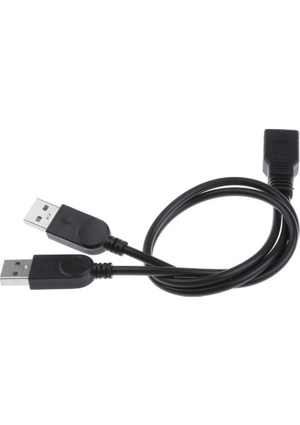 Usb-A Kadın Çift USB Erkek Y-Splitter Şarj Kablosu 30 cm (Yurt Dışından)