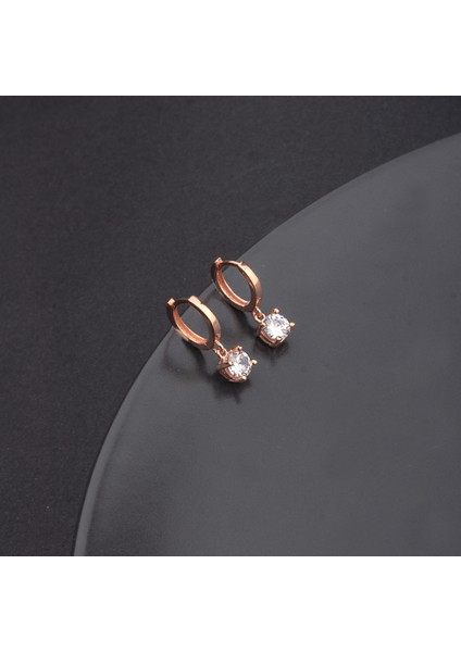 925 Ayar Gümüş Tek Taş Sallantılı Küpe