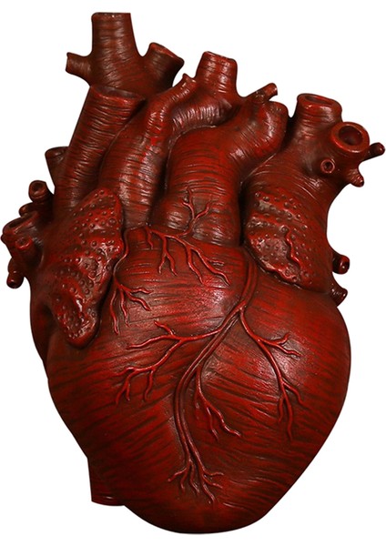 Anatomik Kalp Vazo Reçine Heykeli Saksı Süs Kırmızı 15X10.5X21 cm (Yurt Dışından)