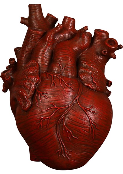 Anatomik Kalp Vazo Reçine Heykeli Saksı Süs Kırmızı 15X10.5X21 cm (Yurt Dışından)