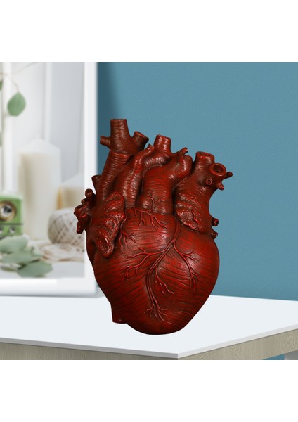 Anatomik Kalp Vazo Reçine Heykeli Saksı Süs Kırmızı 15X10.5X21 cm (Yurt Dışından)