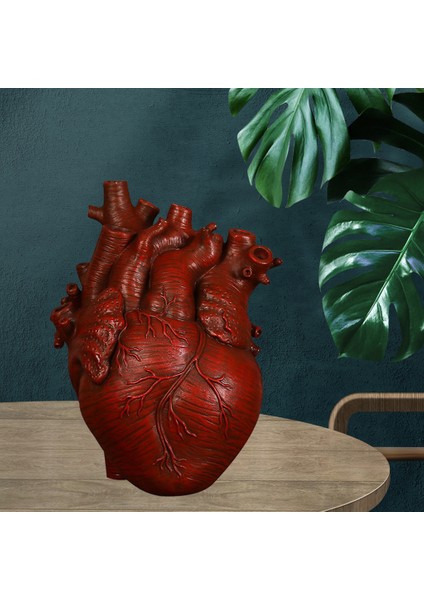 Anatomik Kalp Vazo Reçine Heykeli Saksı Süs Kırmızı 15X10.5X21 cm (Yurt Dışından)