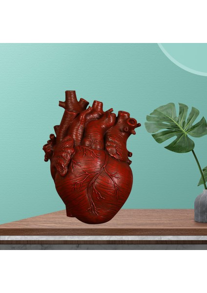 Anatomik Kalp Vazo Reçine Heykeli Saksı Süs Kırmızı 15X10.5X21 cm (Yurt Dışından)
