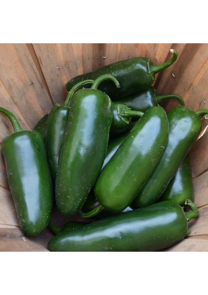 Doğal Çok Acı Jalapeno Biber Tohumu (20ADET)