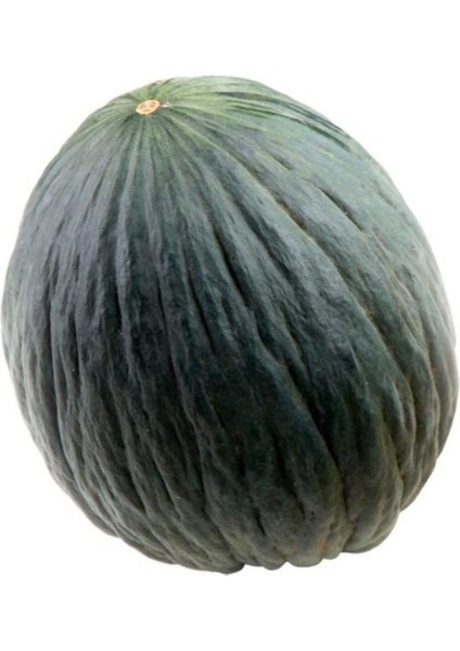 Hasanbey Kavun Tohumu (10 Gram)