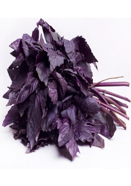 Red Basil Boza Kırmızı Tatlı Fesleğen Tohumu (100 Tohum)