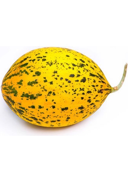 Kavun Altınbaş (637) Tohumu (4 Gram)