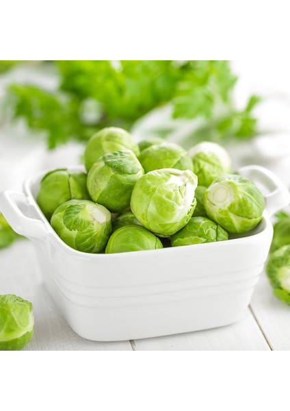 Brüksel Lahanası Tohumu (50 Tohum)