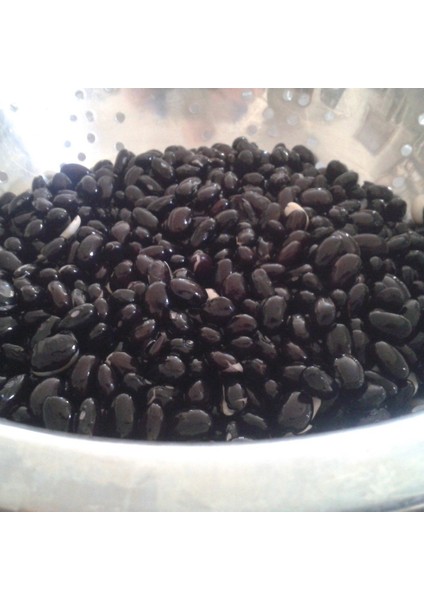 Doğal Black Turtle Siyah Fasulye Tohumu (10 Tohum)