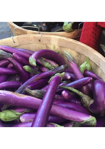 Doğal Long Purple Patlıcan Tohumu (50 Tohum)