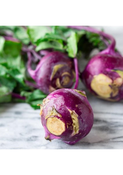 Doğal Mor Kohlrabi (Alabaş) Tohumu (20 Tohum)