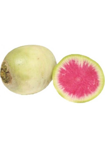 Doğal Içi Kırmızı Dışı Beyaz Sulu Watermelon Turp Tohumu (50 Tohum)