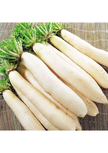 Uzun Beyaz Turp Tohumu (10 Gram)