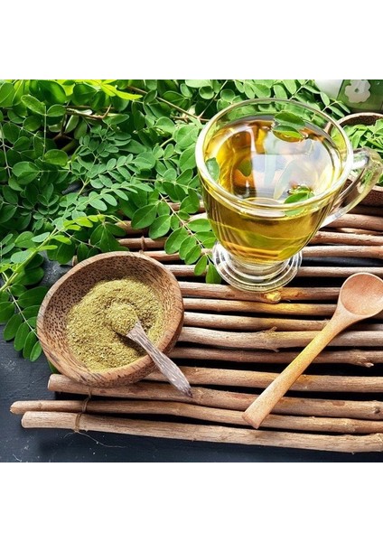 Tüplü Mucize Moringa Ağacı (Moringa Oleifera) Fidanı (40-60 Cm)