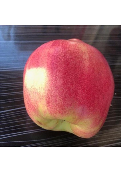 Tüplü Aşılı Tam Bodur Özel Üretim Nadir Kırmızı Ayva Fidanı