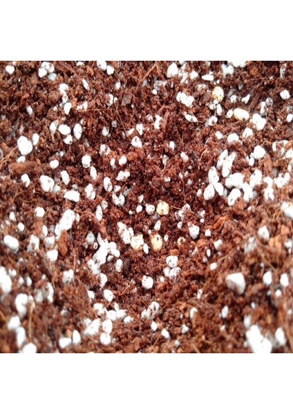 Genel Kullanım Torf Kokopit Pomza Karışım Toprak Harcı (30 Lt.)