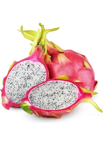 Tüplü Nadir Bulunan Içi Beyaz Pitaya (Ejder Meyvesi) Fidanı
