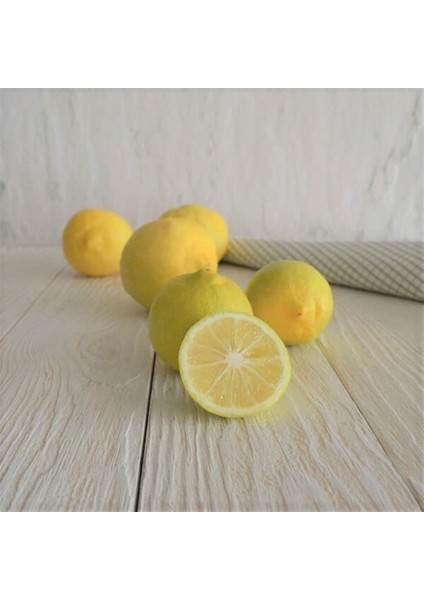 Tüplü Aşılı Tatlı Şeker Limon Fidanı Meyve Verme Yaşında