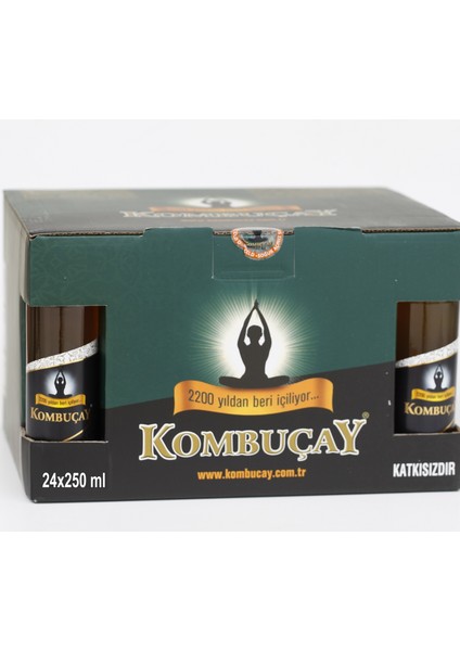 & Kombucha Siyah Çaylı Doğal Fermante Içecek 24 x 250 ml