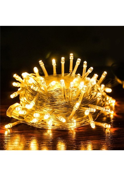 Yılbaşı Çam Ağacı Aydınlatma 10 Metre