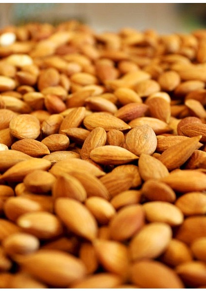 Gün Kurusu Kayısı Çekirdeği fırsatları