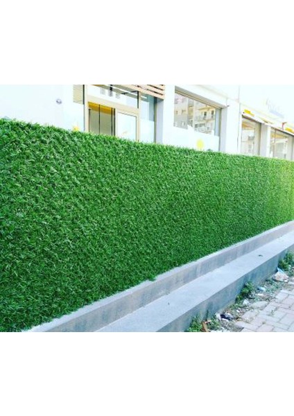 Çimçit 200 cm x 10 M