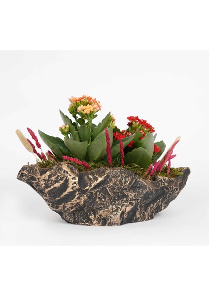 Büyük Çapar Siyah Bakır Saksı fırsatları