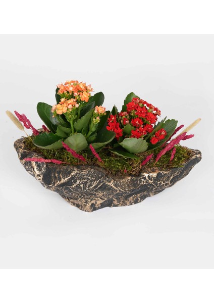 Büyük Çapar Siyah Bakır Saksı indirimleri