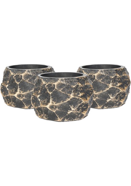 Midas Siyah Altın Saksı fiyatları