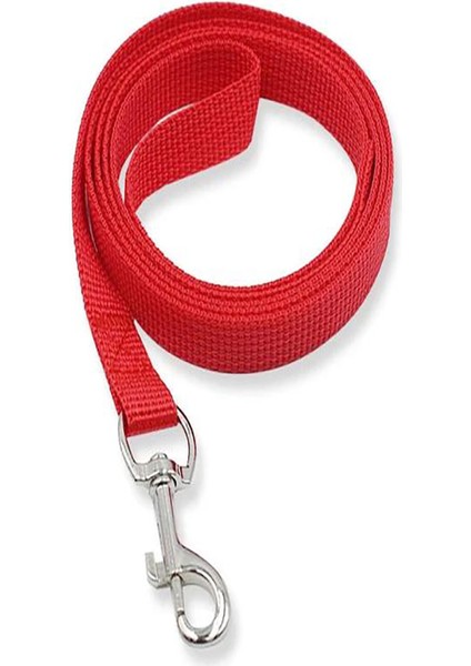 Köpek Tasma Kırmızı 5 Metre