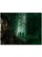 Jungle Daniel Radcliffe 1000 Parça Puzzle Yapboz Mdf(Ahşap) 1