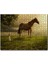 Kız Dev At ve Çayırlar Fantastik Illüstrasyon 255 Parça Puzzle Yapboz Mdf (Ahşap) 1