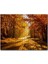 Sonbahar Ormandan Geçen Yol ve Güneş Işınları 120 Parça Puzzle Yapboz Mdf (Ahşap) 1