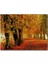 Sonbahar Orman Yolu ve Yapraklar 120 Parça Puzzle Yapboz Mdf (Ahşap) 1