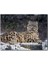 Dişi Kar Leoparı Kayalıkta 120 Parça Puzzle Yapboz Mdf (Ahşap) 1