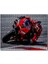 Ducati Corse Moto Gp Danilo Petrucci 500 Parça Puzzle Yapboz Mdf (Ahşap) 1